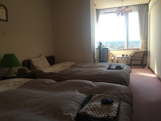 Imagen de la habitación del Hotel Shoji Lake. Foto 13
