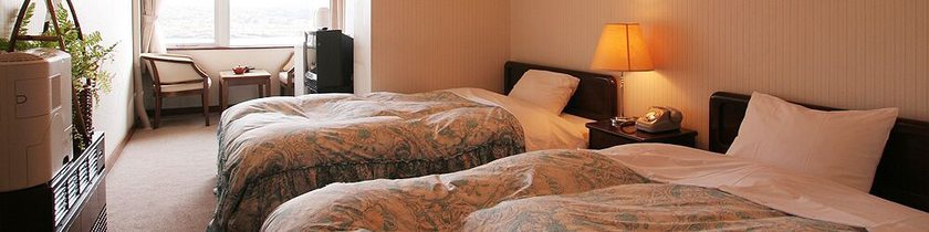 Imagen de la habitación del Hotel Shoji Lake. Foto 14