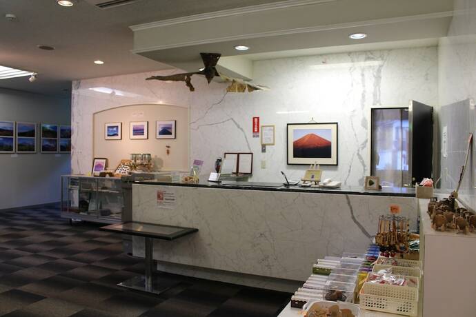 Imagen general del Hotel Shoji Mount. Foto 10