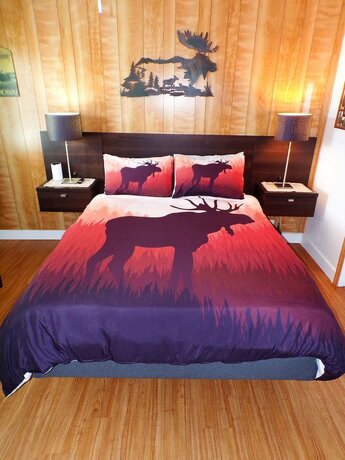 Imagen general del Hotel Shoreline Cottages. Foto 5