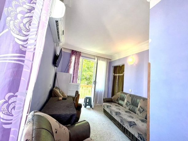 Imagen de la habitación del Hotel Shorena Ureki. Foto 10