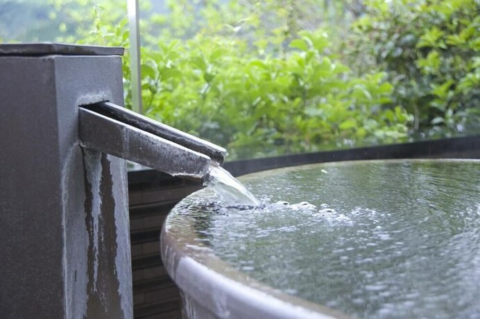 Imagen de la piscina del Hotel Shorenji Lake. Foto 36