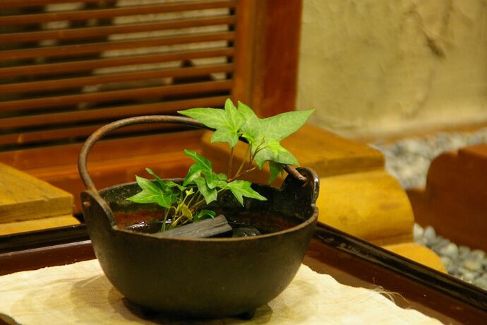 Imagen de los interiores del Hotel Shorenkan Yoshinoya. Foto 35