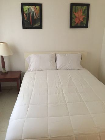 Imagen de la habitación del Hotel Shores Terrace. Foto 18