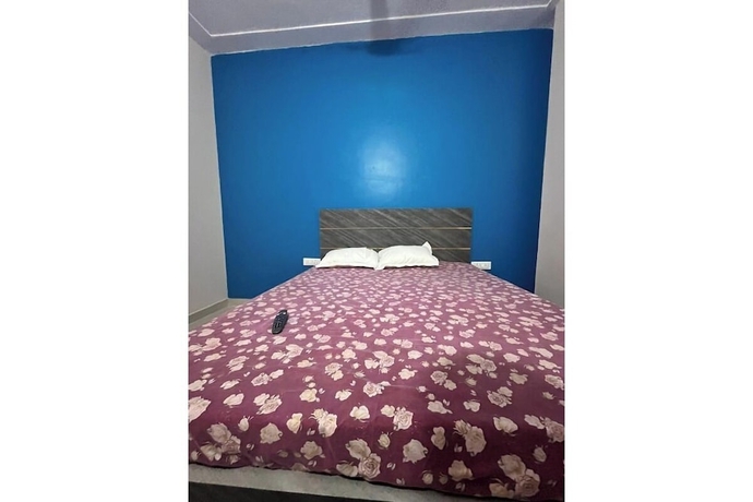 Imagen de la habitación del Hotel Shree Hari palace. Foto 3