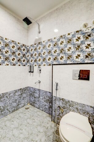 Imagen general del Hotel Shree Nanda. Foto 12