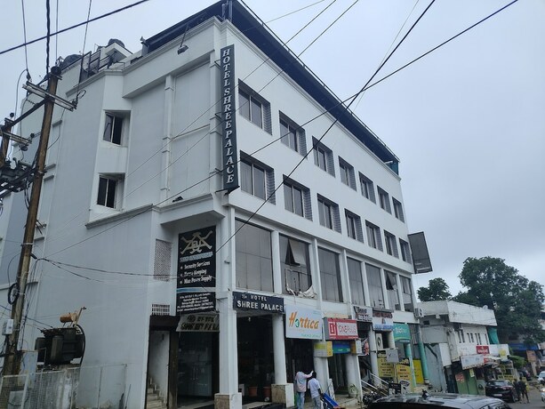 Imagen general del Hotel Shree Palace, Bhopal. Foto 3