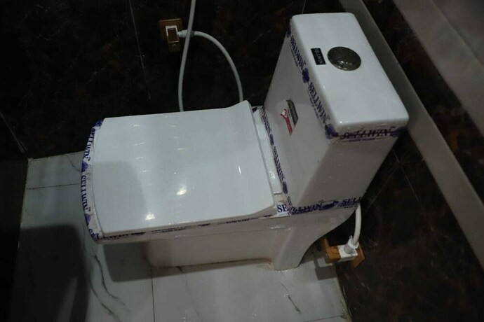 Imagen general del Hotel Shri Laddu Gopal Guest House. Foto 4