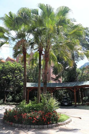 Imagen general del Hotel Shuilili mountain village. Foto 7