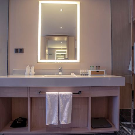 Imagen de la habitación del Hotel Shundi Shy Jinshan Lake Zhenjiang. Foto 12