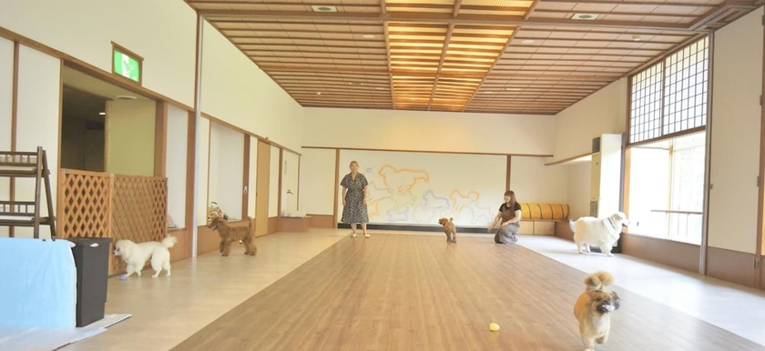 Imagen de la habitación del Hotel Shuzenji Kizuna Plus. Foto 13