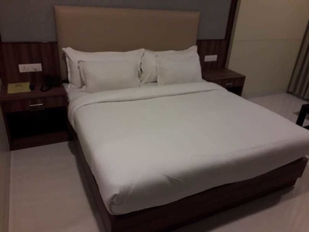 Imagen de la habitación del Hotel Shyam. Foto 13