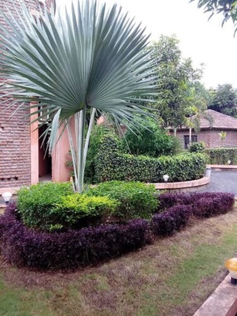 Imagen de los exteriores del Hotel Shyam Farm House and Resort. Foto 16