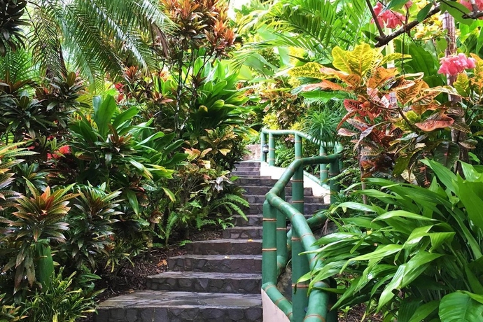 Imagen general del Hotel Si Como No Resort, Spa and Wildlife Refuge. Foto 13