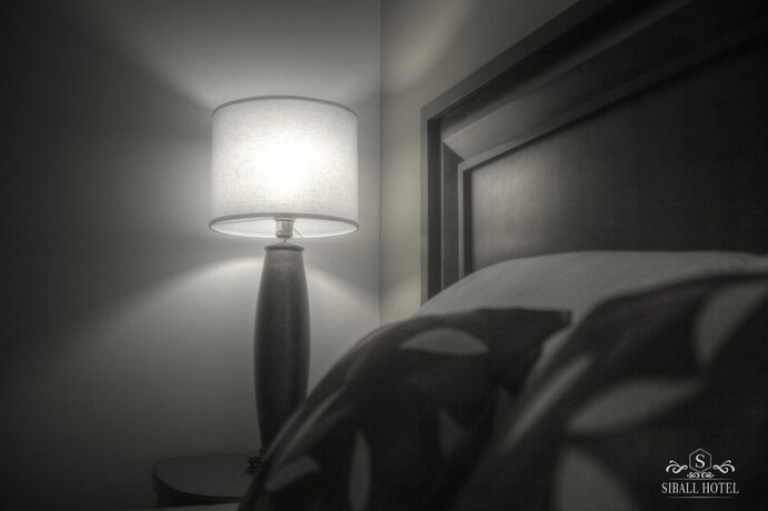 Imagen general del Hotel Siball. Foto 4