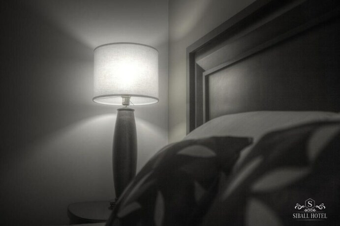 Imagen de la habitación del Hotel Siball. Foto 30