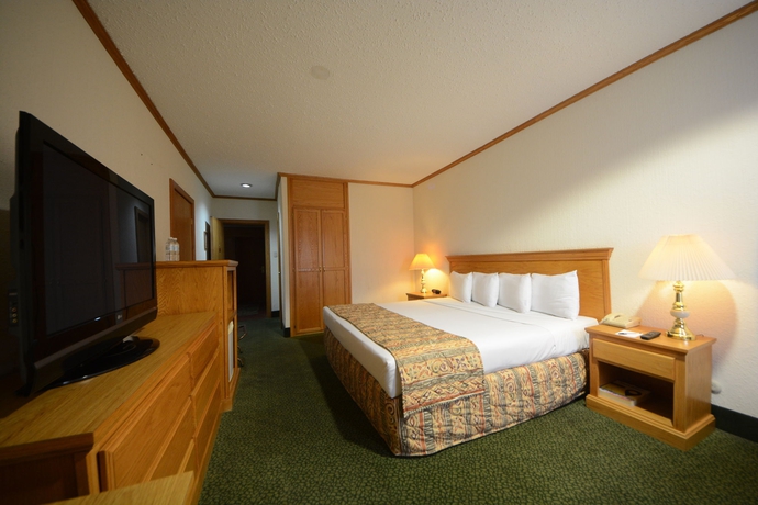 Imagen de la habitación del Hotel Sicomoro. Foto 6