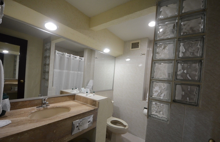 Imagen de la habitación del Hotel Sicomoro. Foto 9