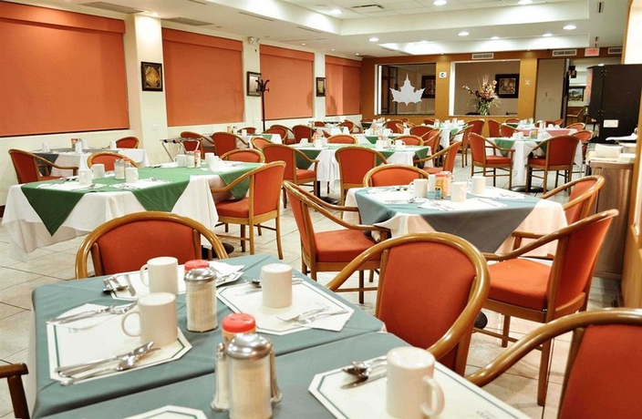 Imagen del bar/restaurante del Hotel Sicomoro. Foto 2