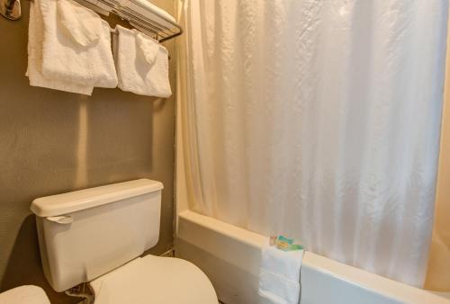 Imagen de la habitación del Hotel Sidney James Mountain Lodge, Gatlinburg. Foto 8