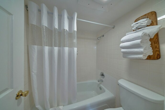 Imagen general del Hotel Sidney James Mountain Lodge, Greystone Heights. Foto 3