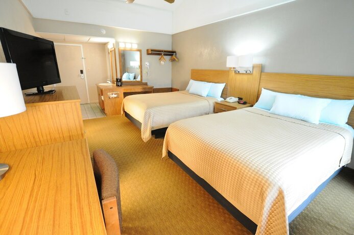 Imagen general del Hotel Sidney James Mountain Lodge, Greystone Heights. Foto 10