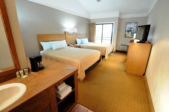Imagen de la habitación del Hotel Sidney James Mountain Lodge, Greystone Heights. Foto 14