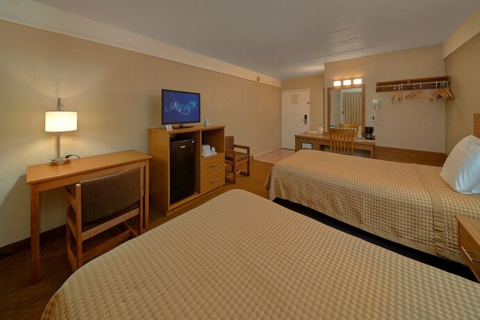 Imagen de la habitación del Hotel Sidney James Mountain Lodge, Greystone Heights. Foto 19
