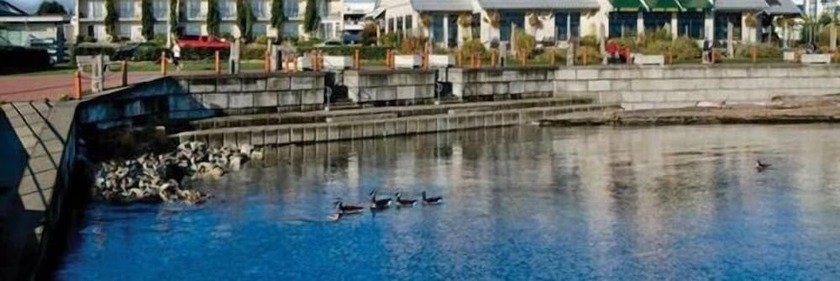 Imagen general del Hotel Sidney Waterfront Inn and Suites. Foto 4