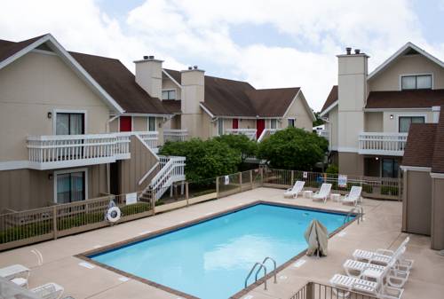 Imagen de la piscina del Hotel Siegel Select Toledo/Holland. Foto 16