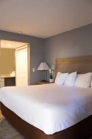 Imagen de la habitación del Hotel Siegel Select Toledo/Holland. Foto 1