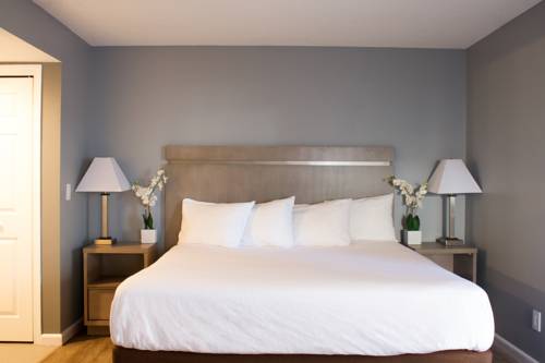 Imagen de la habitación del Hotel Siegel Select Toledo/Holland. Foto 2