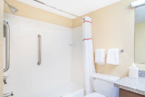 Imagen de la habitación del Hotel Siegel Select Toledo/Holland. Foto 8