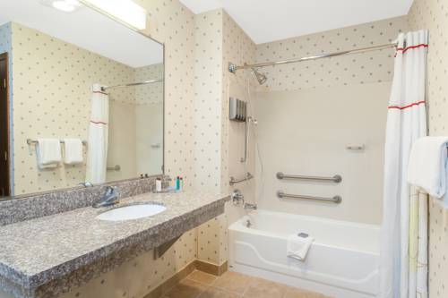 Imagen de la habitación del Hotel Siegel Select Toledo/Holland. Foto 9