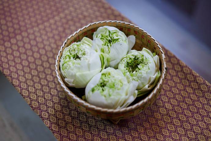 Imagen de los interiores del Hotel Siem Reap Urban Boutique. Foto 19