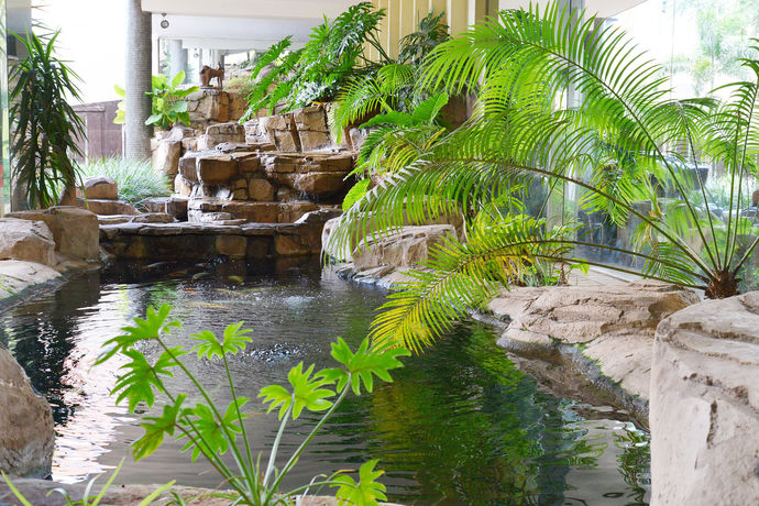 Imagen de los interiores del Hotel Sierra Burgers Park. Foto 10