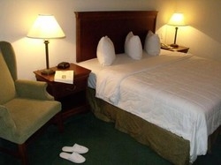 Imagen de la habitación del Hotel Sierra Huasteca Inn. Foto 2