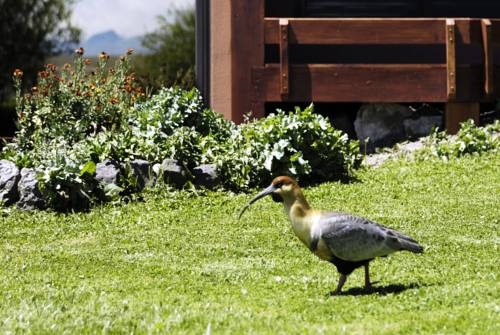 Imagen general del Hotel Sierra Nevada. Foto 15