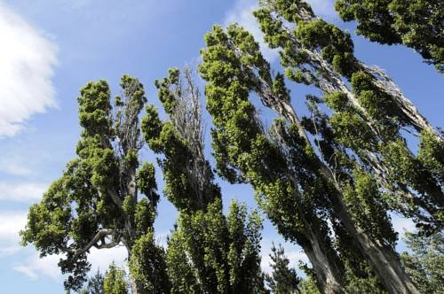 Imagen general del Hotel Sierra Nevada. Foto 32