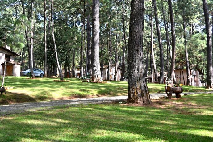 Imagen general del Hotel Sierra Vista. Foto 12