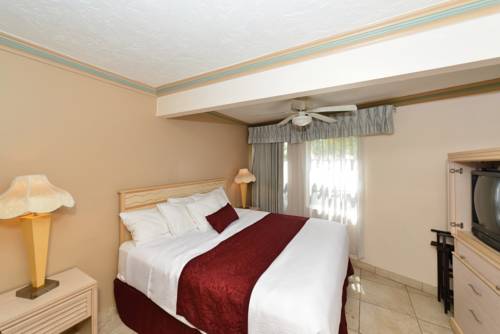 Imagen de la habitación del Hotel Siesta Beach Resort & Suites Tiki & Pool. Foto 10