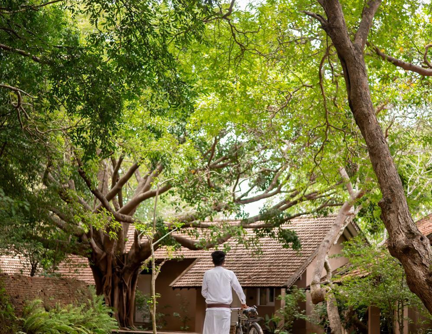Imagen general del Hotel Sigiriya Village. Foto 9
