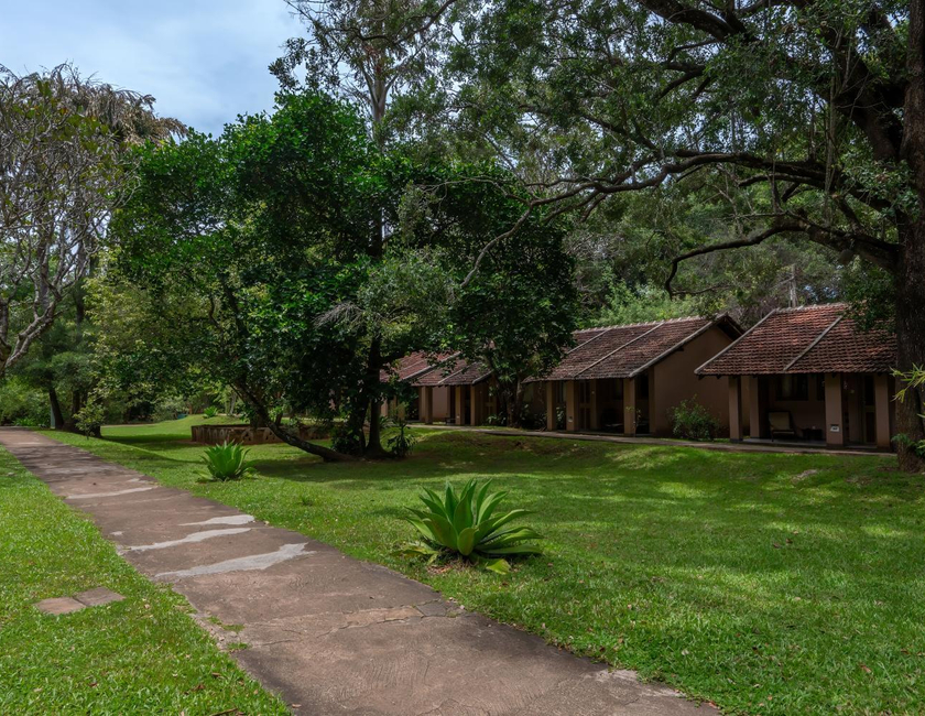 Imagen general del Hotel Sigiriya Village. Foto 13
