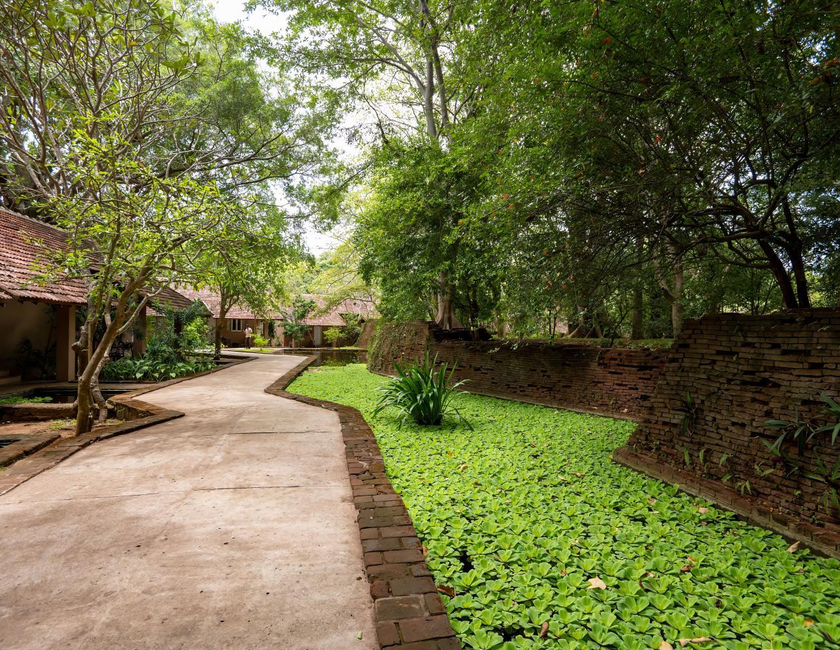 Imagen general del Hotel Sigiriya Village. Foto 16