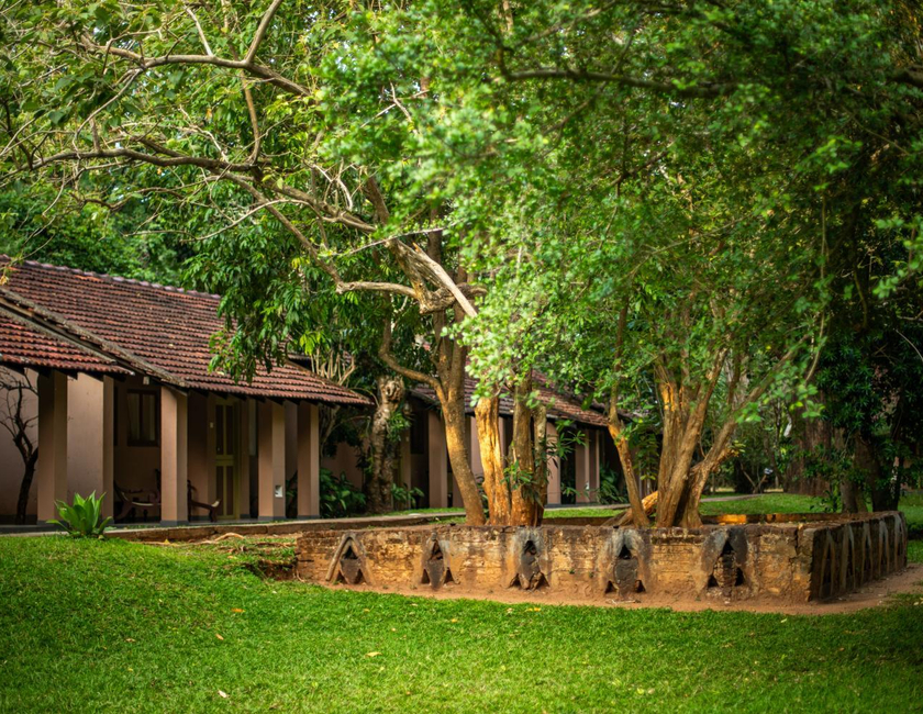 Imagen general del Hotel Sigiriya Village. Foto 17