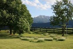 Imagen general del Hotel Silent Hotel Hubertus. Foto 8