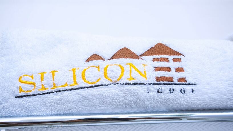 Imagen general del Hotel Silicon Lodge. Foto 12