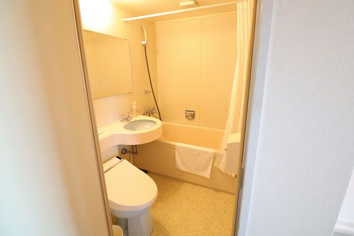 Imagen de la habitación del Hotel Silk Annex, Iida. Foto 15