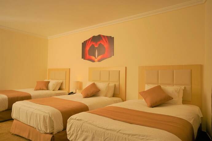 Imagen general del Hotel Silk Road, Petra. Foto 14