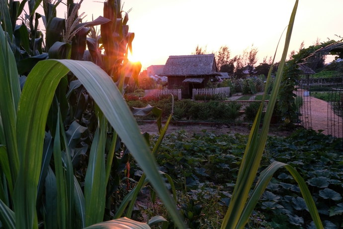 Imagen de los exteriores del Hotel Silk Sense Hoi An River Resort. Foto 14